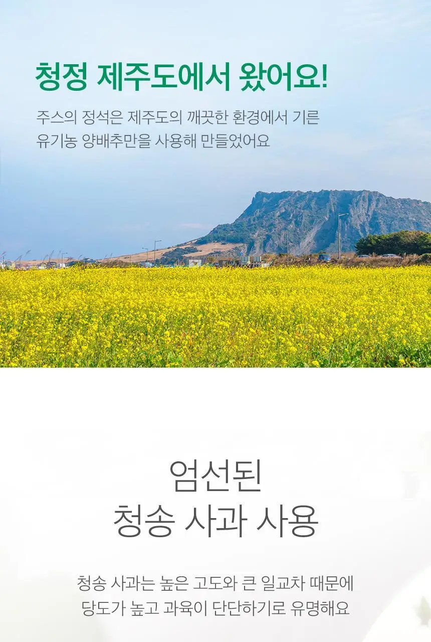 [NEW]주스의정석 ABC/CCA/양배추사과즙 100ml 3종 택1 상세페이지 77